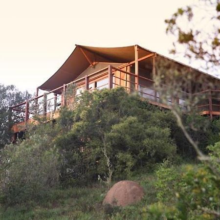 Addo Elephant Lodge & Safaris Kirkwood المظهر الخارجي الصورة