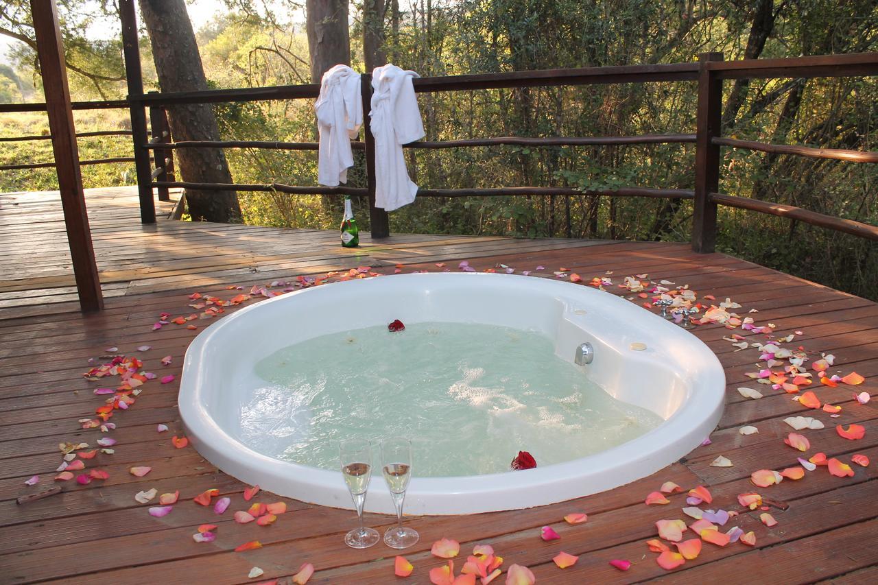 Addo Elephant Lodge & Safaris Kirkwood المظهر الخارجي الصورة