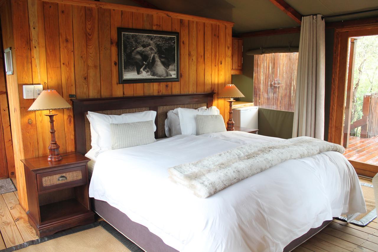 Addo Elephant Lodge & Safaris Kirkwood المظهر الخارجي الصورة