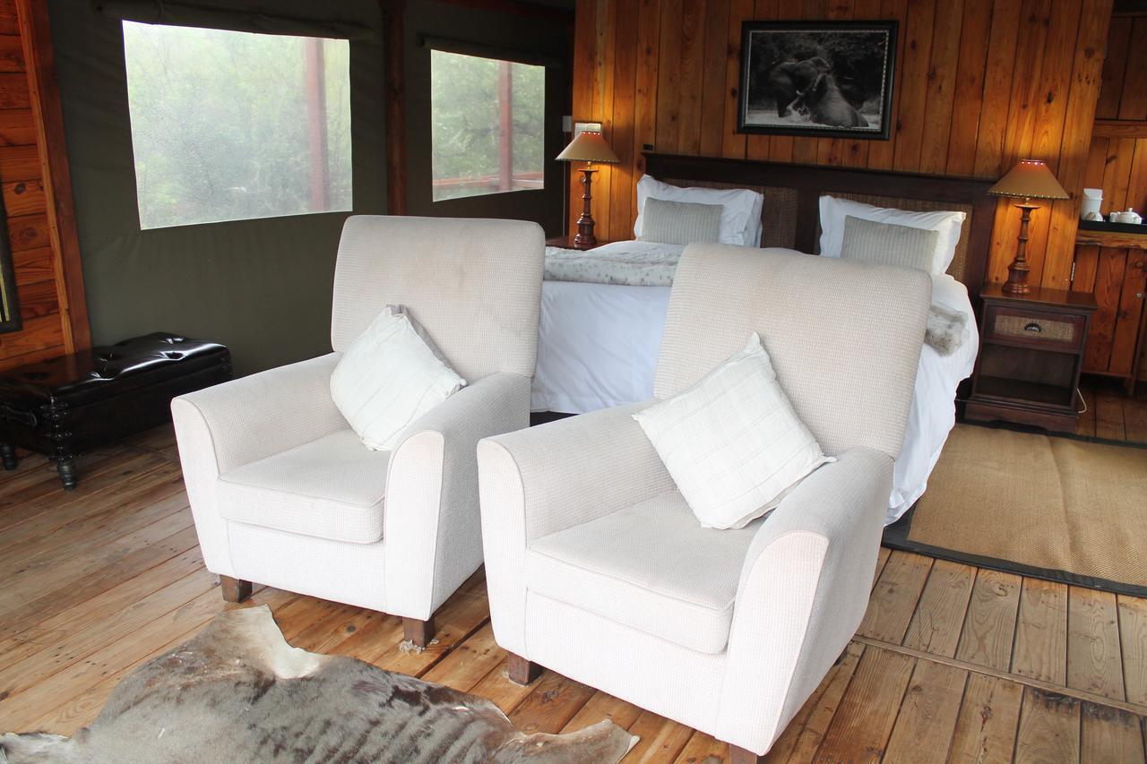 Addo Elephant Lodge & Safaris Kirkwood المظهر الخارجي الصورة