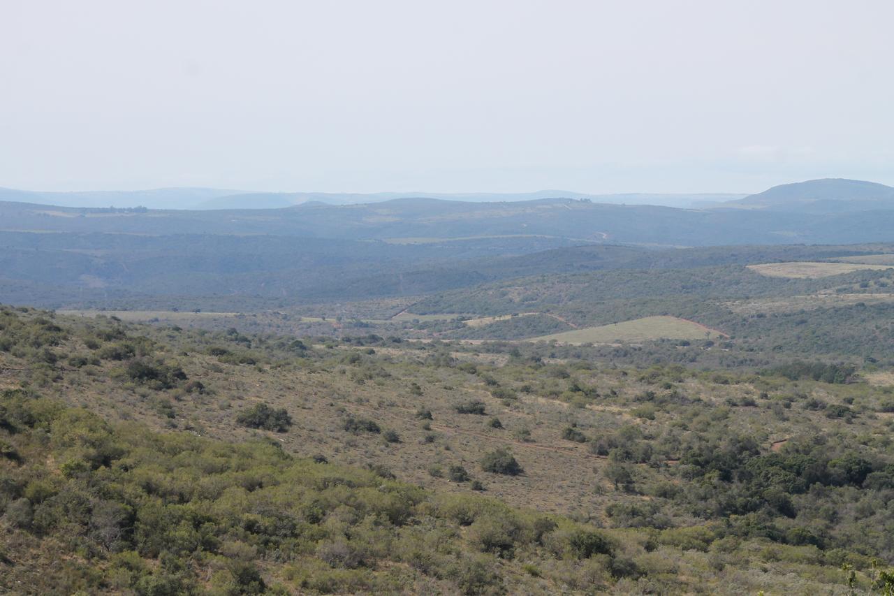 Addo Elephant Lodge & Safaris Kirkwood المظهر الخارجي الصورة