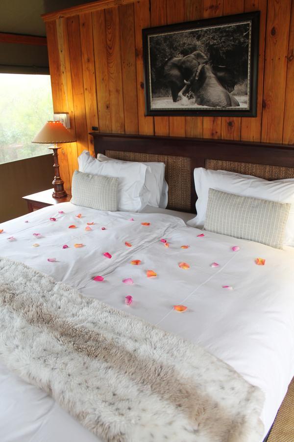Addo Elephant Lodge & Safaris Kirkwood المظهر الخارجي الصورة