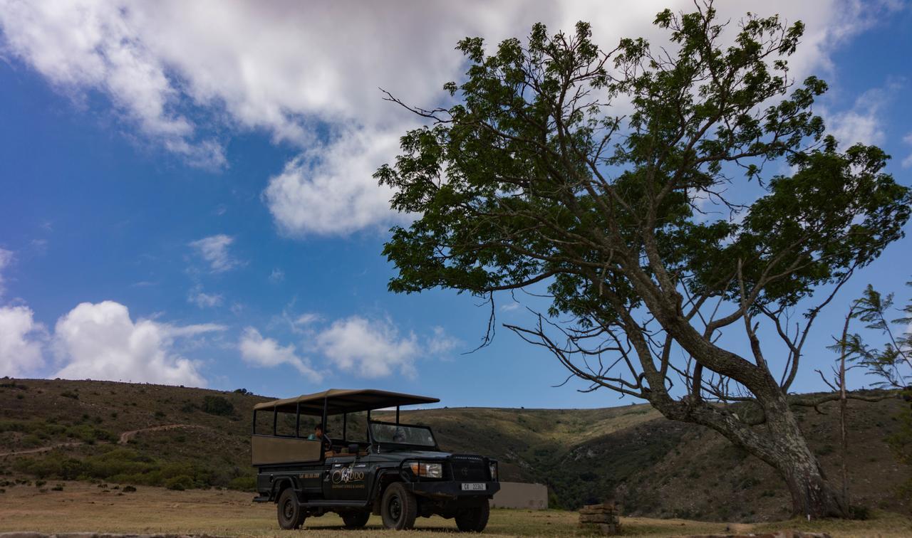 Addo Elephant Lodge & Safaris Kirkwood المظهر الخارجي الصورة