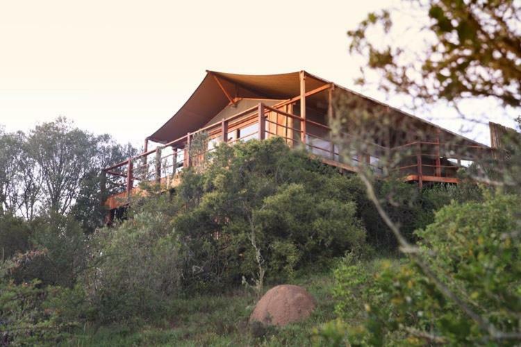 Addo Elephant Lodge & Safaris Kirkwood المظهر الخارجي الصورة